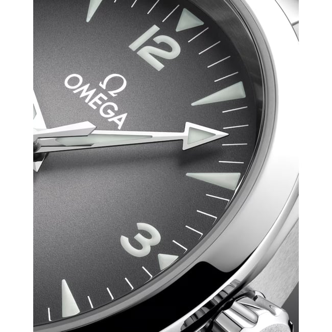 Seamaster Railmaster