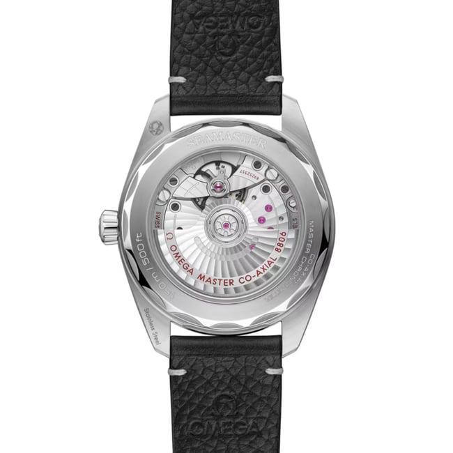 Seamaster Railmaster