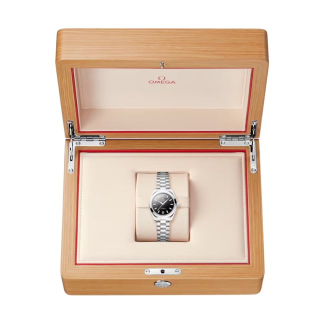 Seamaster Aqua Terra 150M