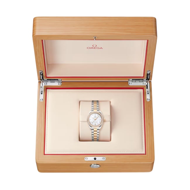Seamaster Aqua Terra 150M