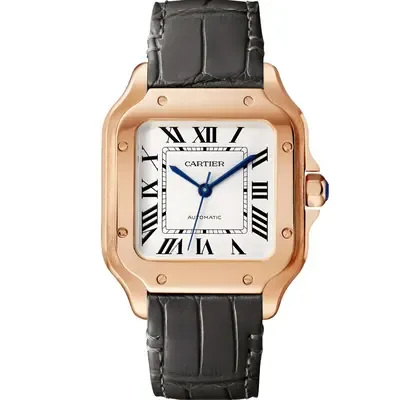 Santos de Cartier Medium Model (Ref: WGSA0028)