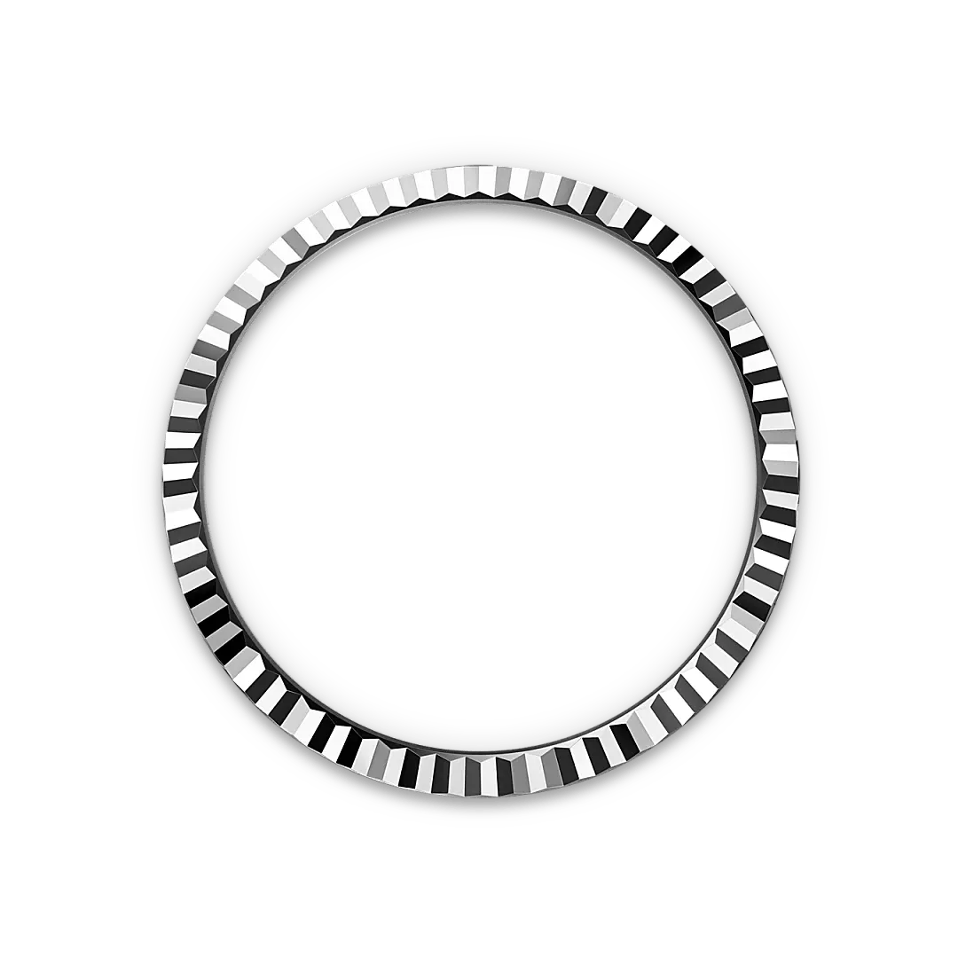 Rolex 
Land-Dweller 40
Oyster, 40 mm, Oystersteel and white gold
M127334-0001