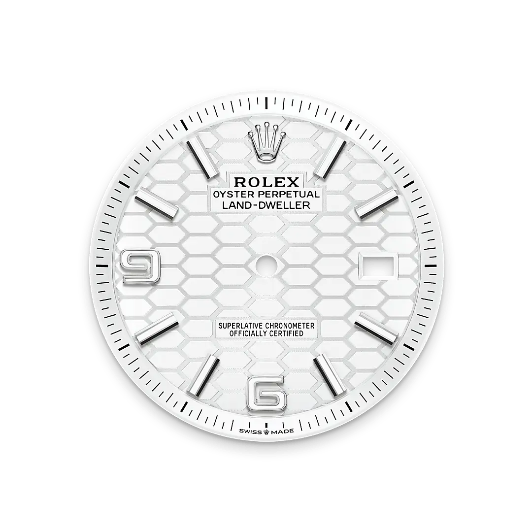 Rolex 
Land-Dweller 40
Oyster, 40 mm, Oystersteel and white gold
M127334-0001