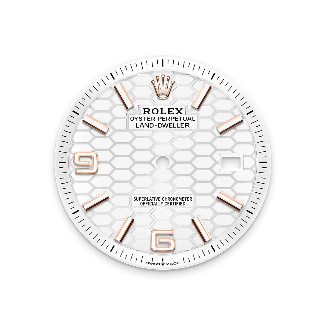Rolex 
Land-Dweller 40
Oyster, 40 mm, Everose gold
M127335-0001