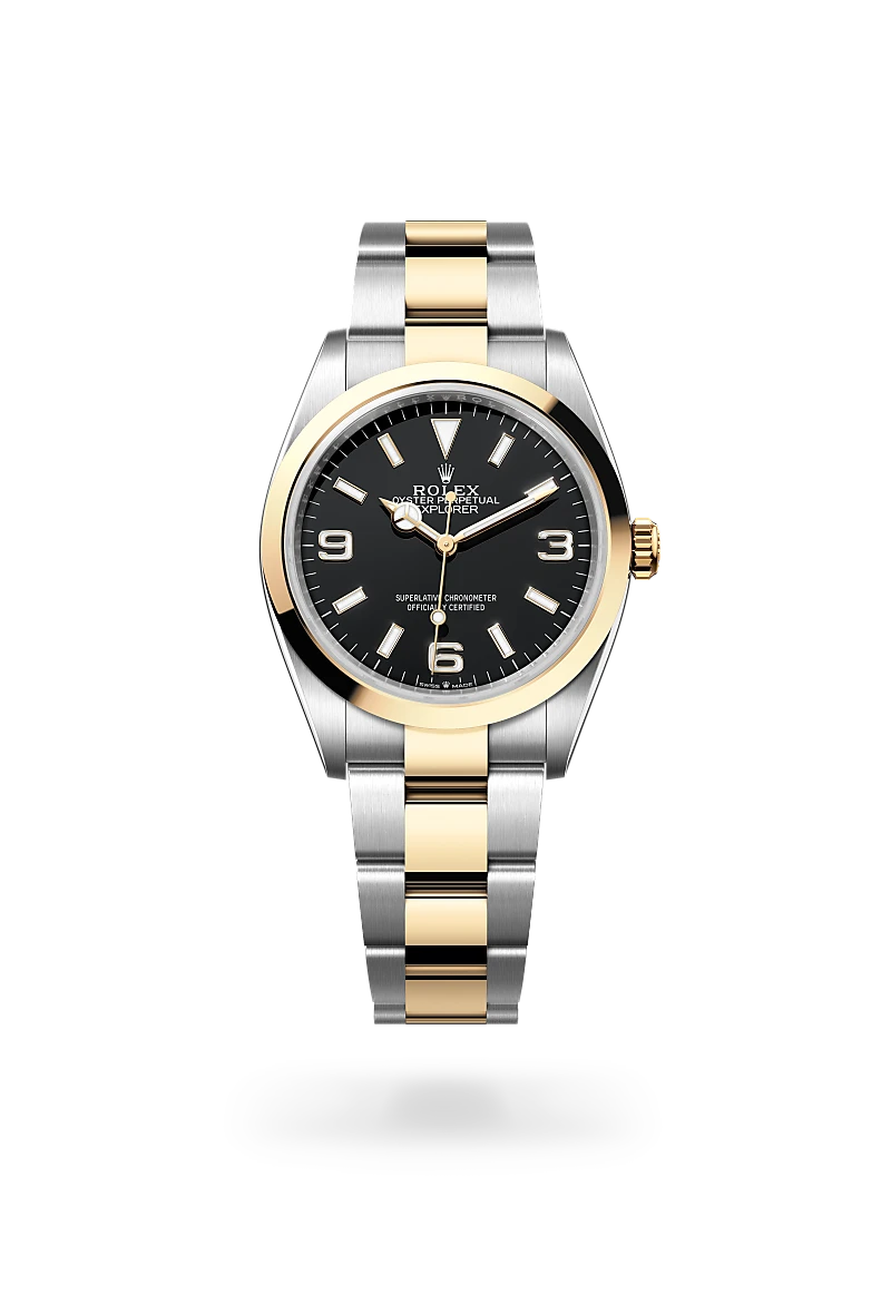 Rolex 
EXPLORER
Oyster, 36 mm, Oystersteel and yellow gold
M124273-0001